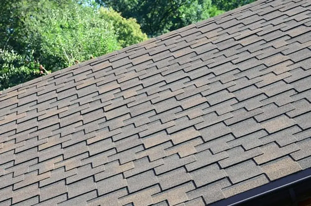 Shingled roofline of a home addition framed against mature trees